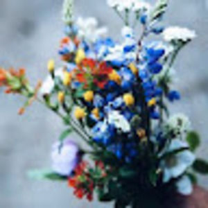 Meet your Posher, Alli